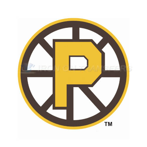 Providence Bruins Iron-on Stickers (Heat Transfers)NO.9113